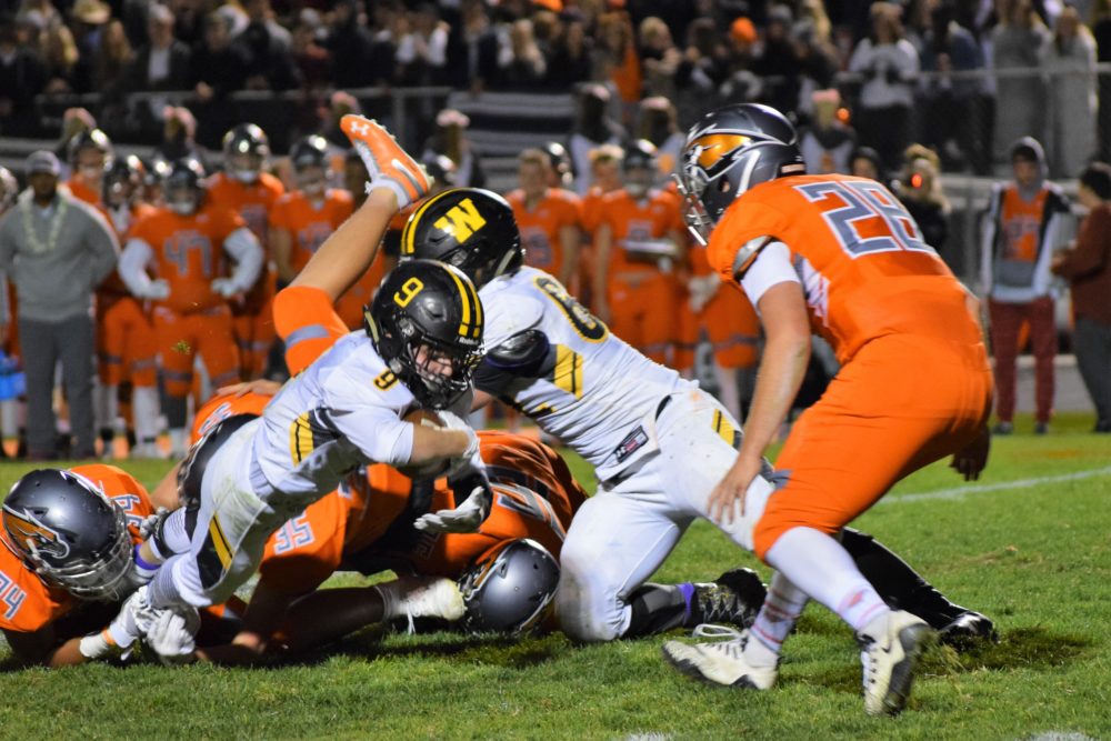 Concussions in Sports