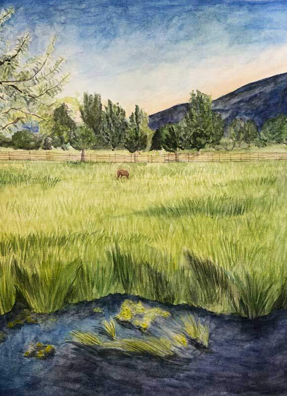 Spring by the stream Spring by the stream